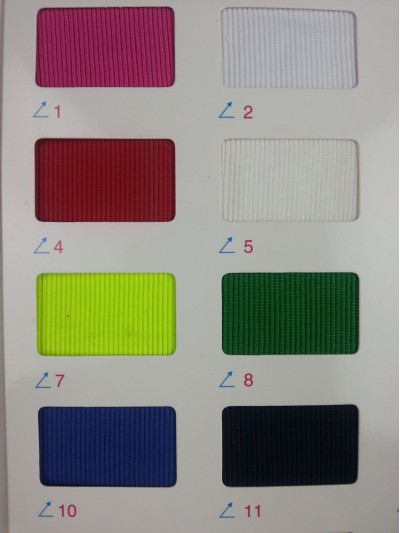 GZ-CIWI  2*2羅紋  NT-D304  380G 後面照